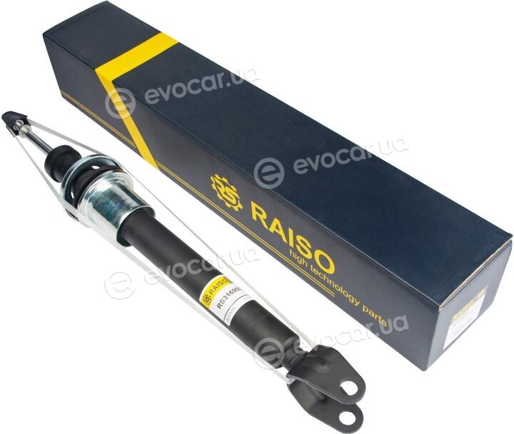 Raiso RS316950