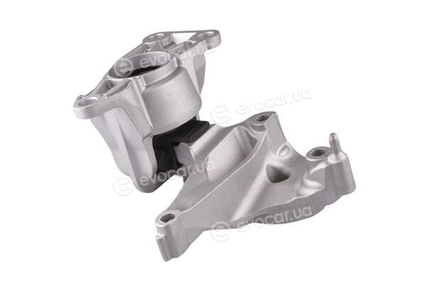 Tedgum TED37615