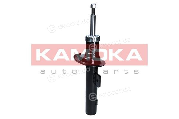 Kamoka 2001049