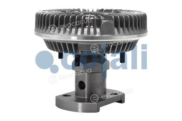 Cojali 7043156