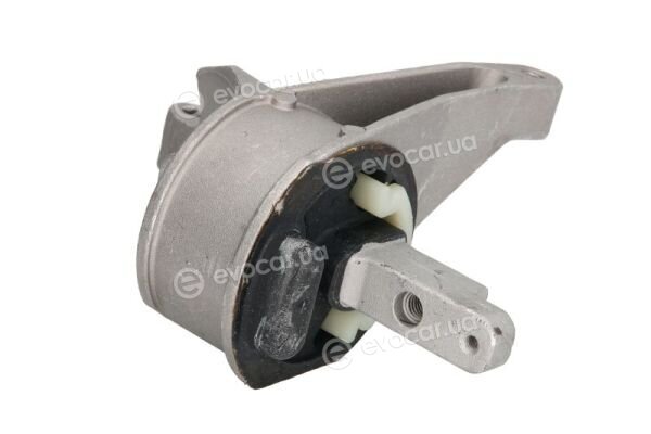 Reinhoch RH11-0117