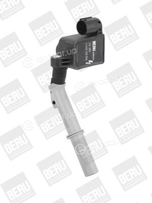 BorgWarner ZSE094