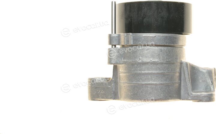Dayco APV3800