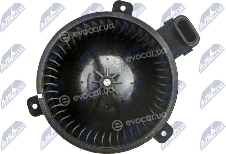 NTY EWN-MS-003