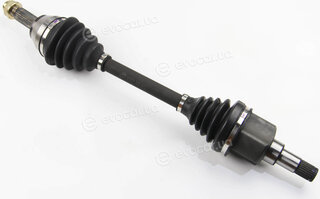 BGA DS2304L