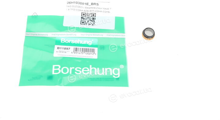 Borsehung B11897
