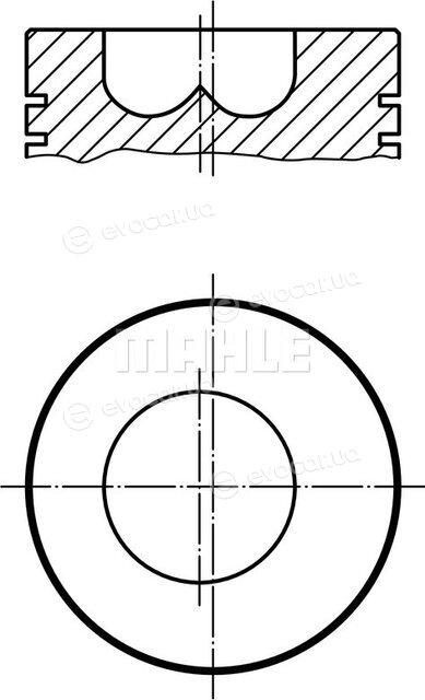 Mahle 009 89 00