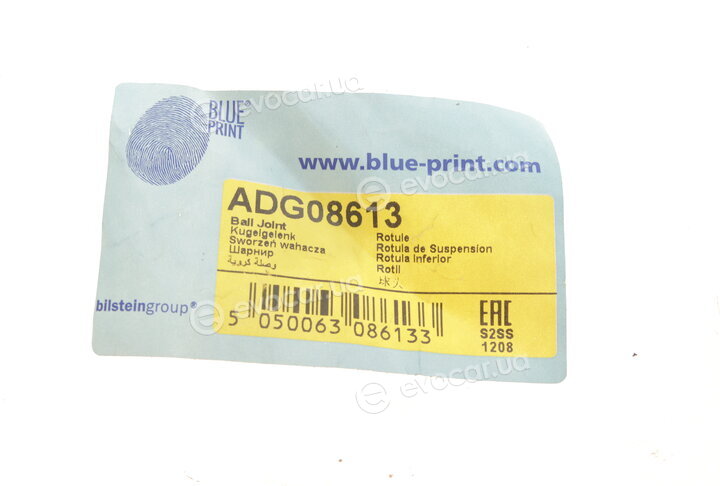 Blue Print ADG08613