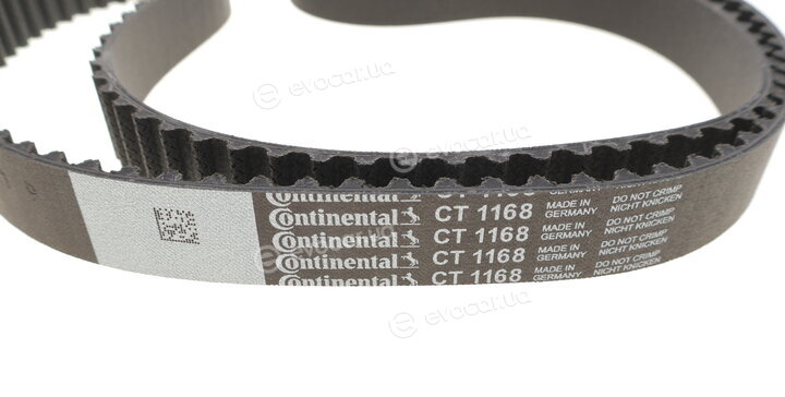 Continental CT1168WP3