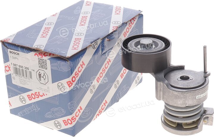 Bosch 1 987 600 300