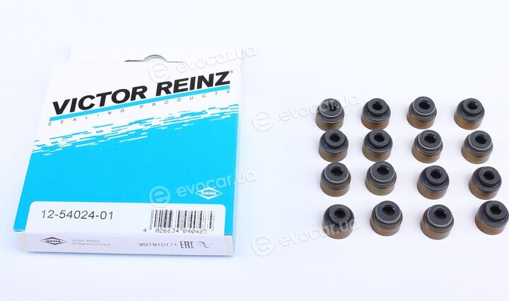 Victor Reinz 12-54024-01