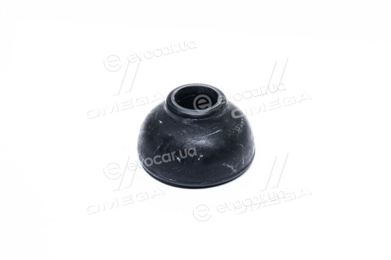 RBI O23286Y