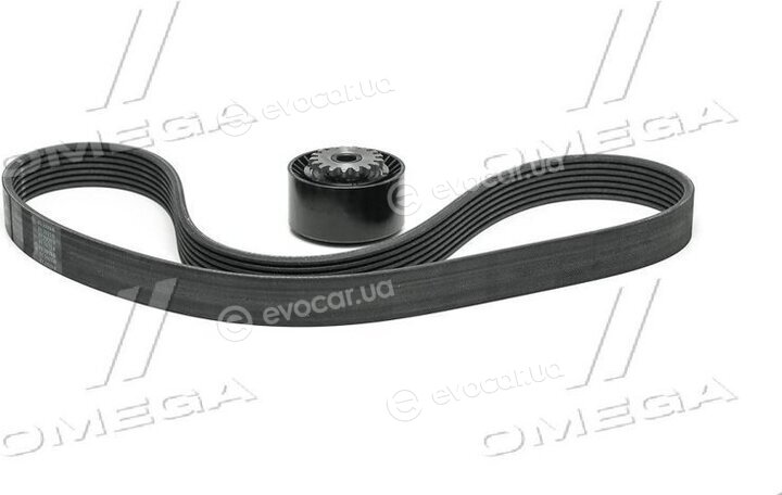Continental 7PK1035K1