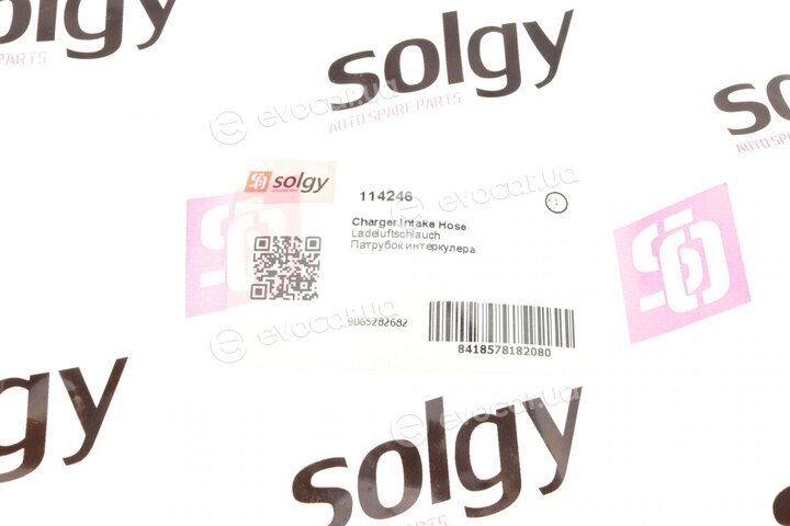 Solgy 114246