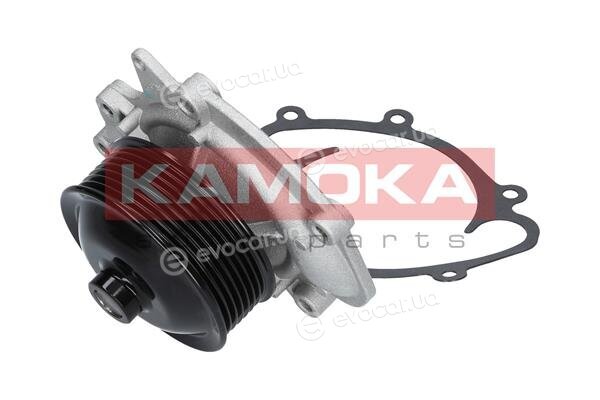 Kamoka T0073