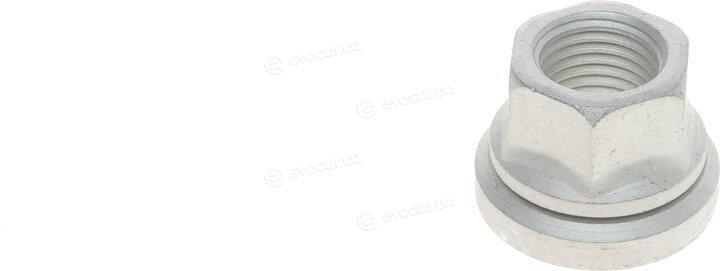 Solgy 216002