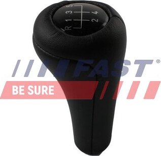 Fast FT09039