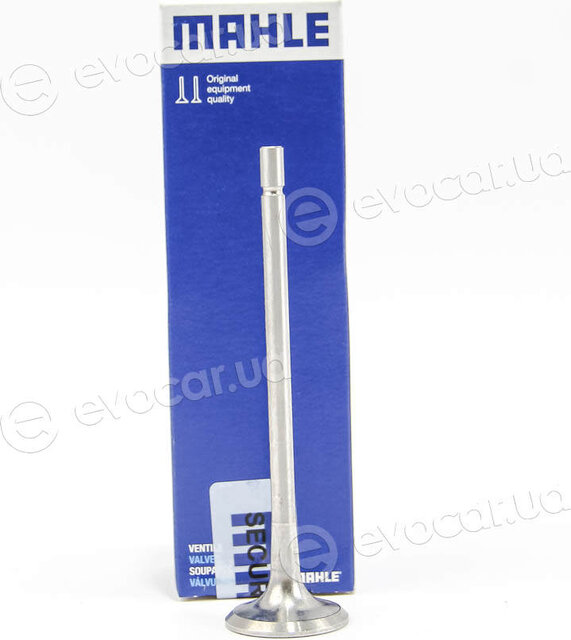 Mahle 021 VA 30921 100