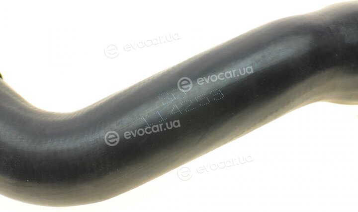 Solgy 114253