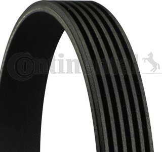 Continental 6PK794 ELAST