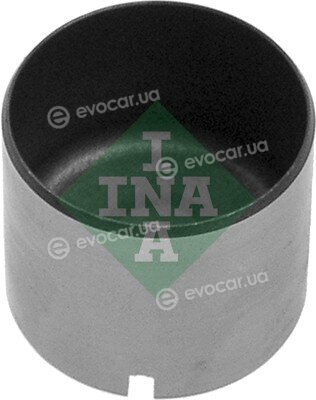 INA 421 0006 10