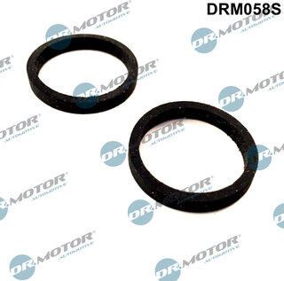 Dr. Motor DRM058S