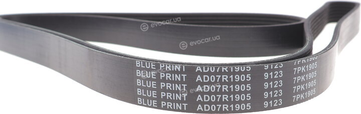 Blue Print AD07R1905