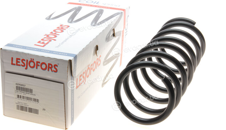Lesjofors 4295857