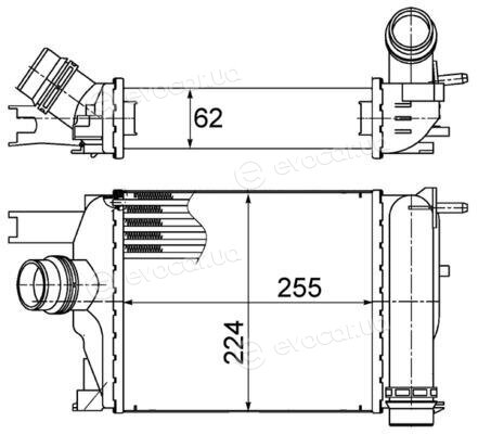 Mahle CI 497 000S