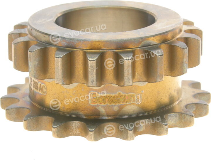 Borsehung B16300