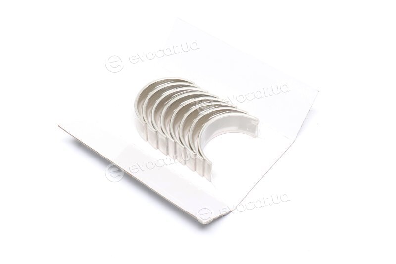 Glyco 71-3276/4 STD