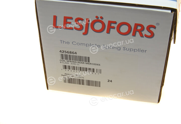 Lesjofors 4256864