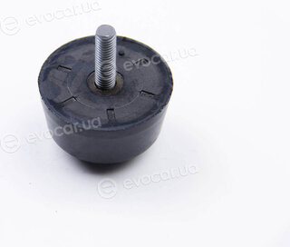 BC Guma 0258