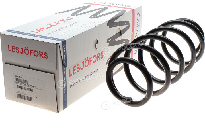 Lesjofors 4063560