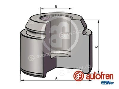 Autofren D025569