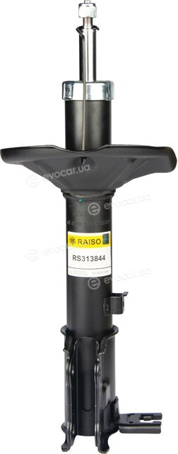 Raiso RS313844