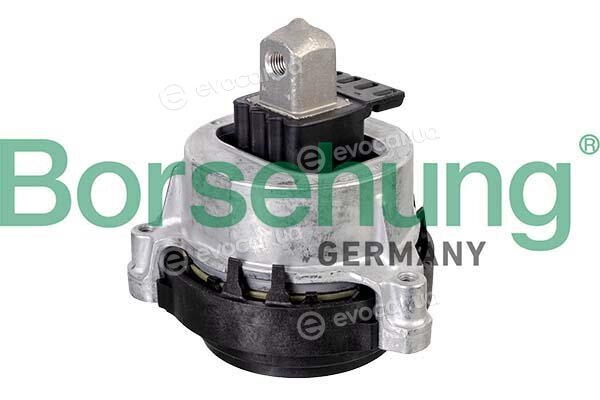 Borsehung B12611