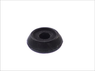 Fortune Line FZ70781