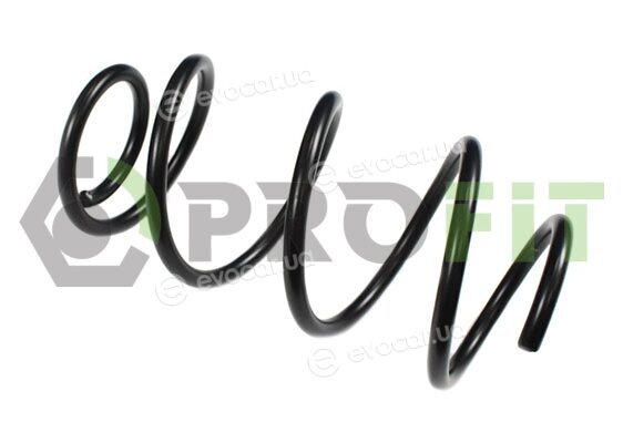 Profit 2010-2173