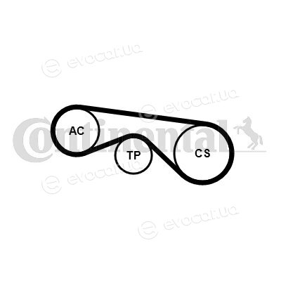 Continental 5PK890K3