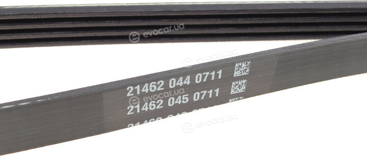 Dayco 4PK1165