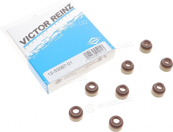 Victor Reinz 12-53067-01