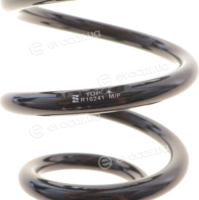 Eibach R10241