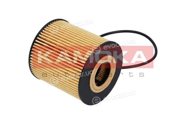 Kamoka F107001