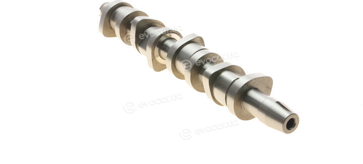 Borsehung B11306