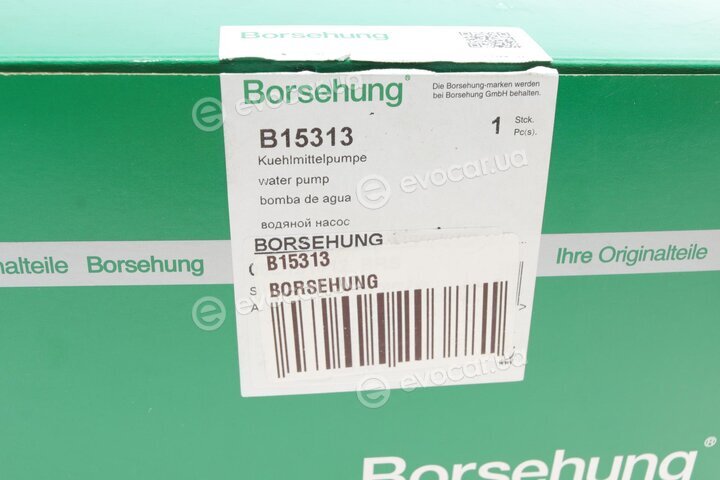 Borsehung B15313