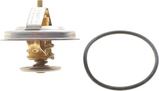 Wahler / BorgWarner 4235.80D