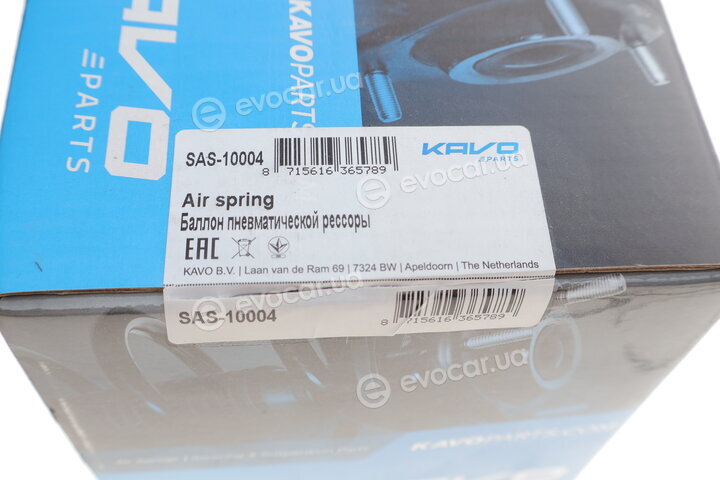 Kavo SAS-10004