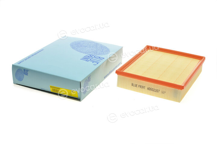 Blue Print ADG02207