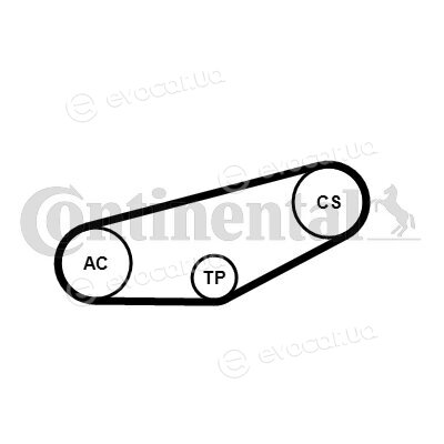 Continental 4PK855K1